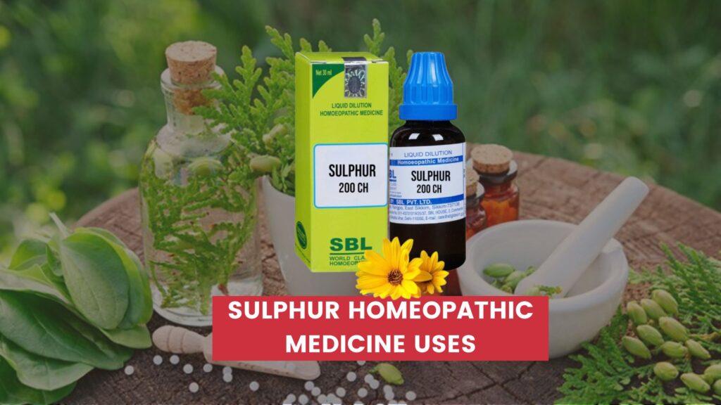 sulphur homeopathic medicine uses in hindi