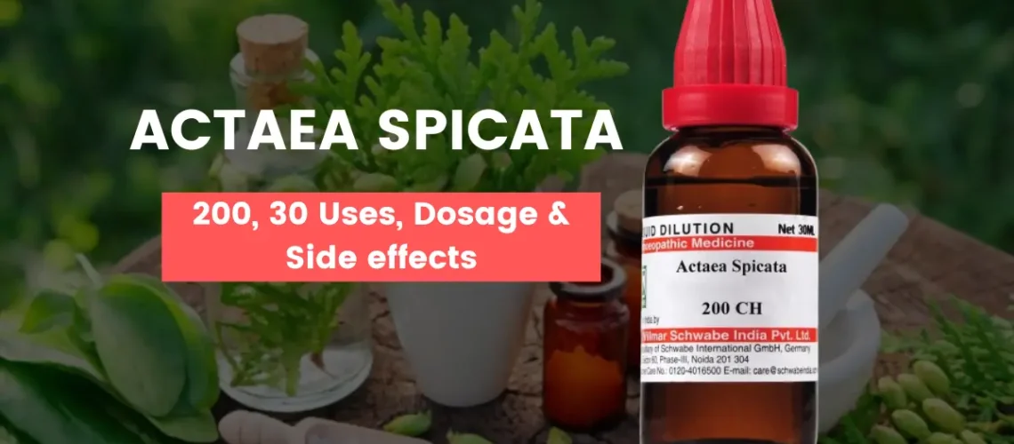 Actaea Spicata 200, Actaea Spicata 30 Uses and Side Effects