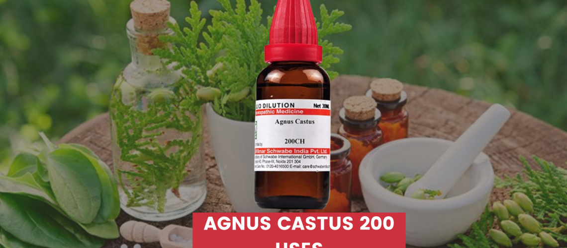 Agnus Castus 200 Uses In Hindi