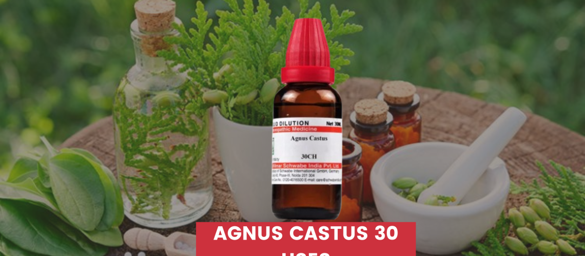 Agnus Castus 30 Uses In Hindi