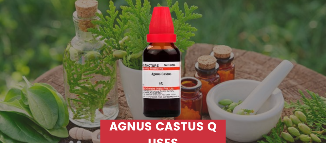 Agnus Castus Q Uses In Hindi