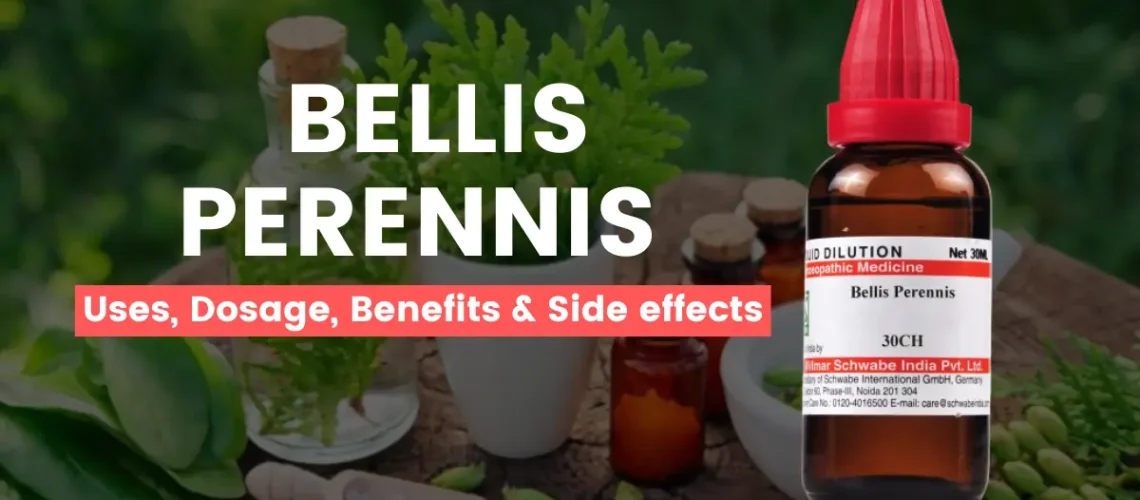 Bellis Perennis 30, 200, 1M - Uses, Benefits and Side Effects