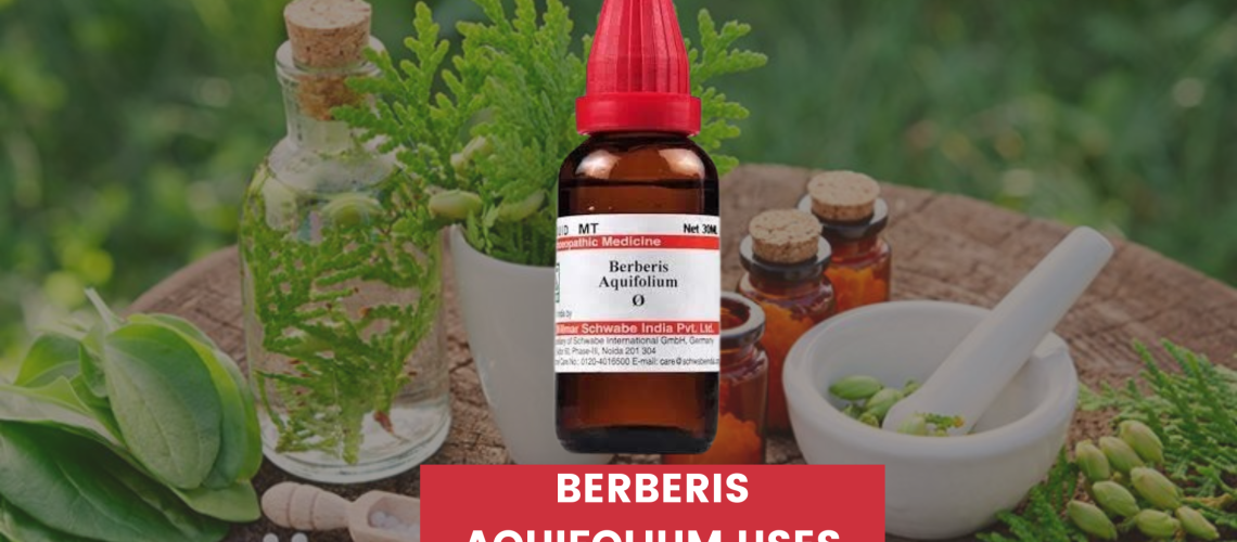 Berberis Aquifolium Homeopathic Uses In Hindi