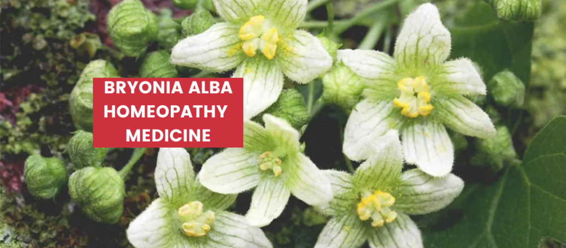 Bryonia Alba Uses, Dosage, Benefits & Side Effects