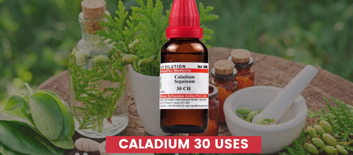 Caladium 30 Uses In Hindi