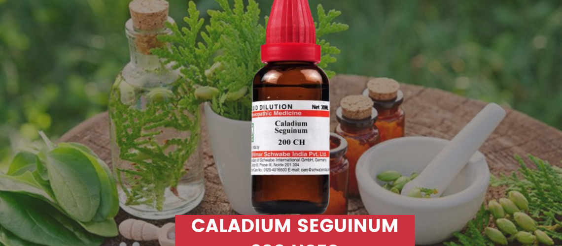 Caladium Seguinum 200 Uses In Hindi