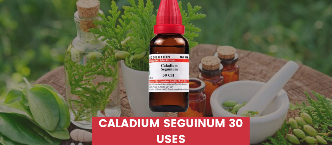 Caladium Seguinum 30 Uses In Hindi