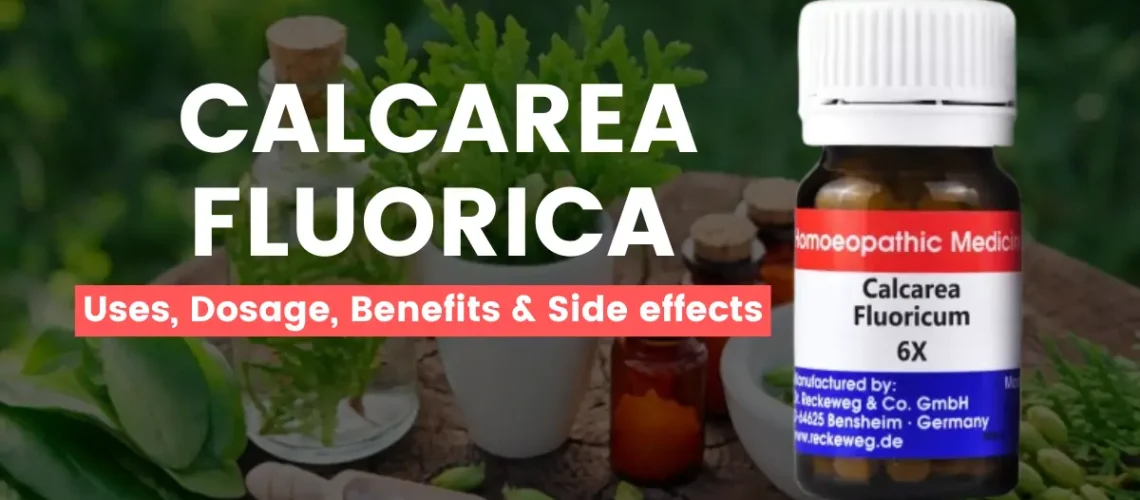 Calcarea Fluorica 6X, 3X, 30 - Uses, Benefits and Side Effects