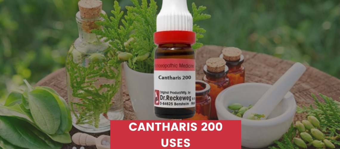 Cantharis 200 Uses In Hindi