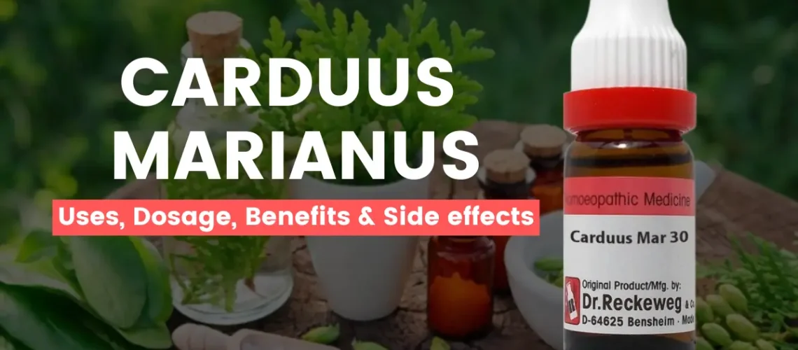 Carduus Marianus 30, 200, 1M - Uses, Benefits and Side Effects