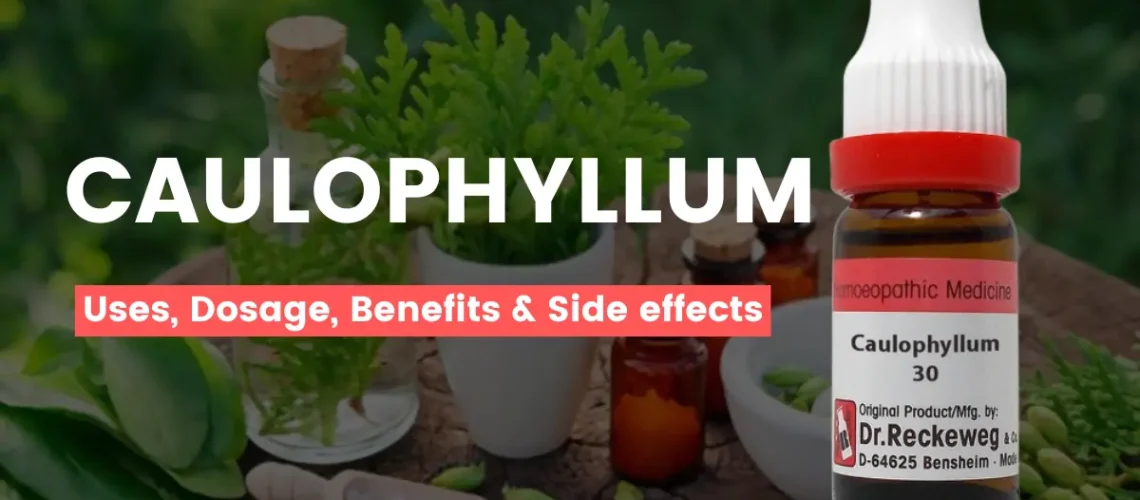 Caulophyllum 30, 200, 1M, Mother Tincture - Uses, Benefits Side Effects