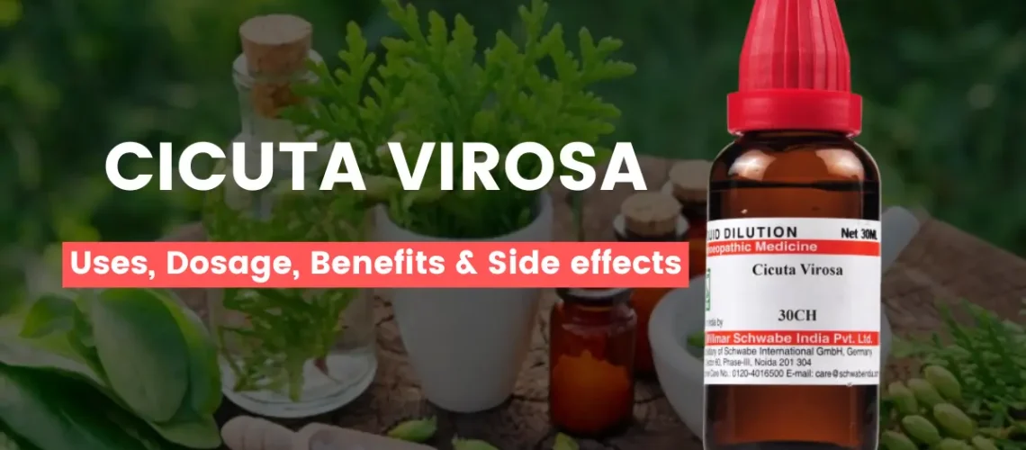 Cicuta Virosa 30, 200, Q - Uses, Benefits and Side Effects