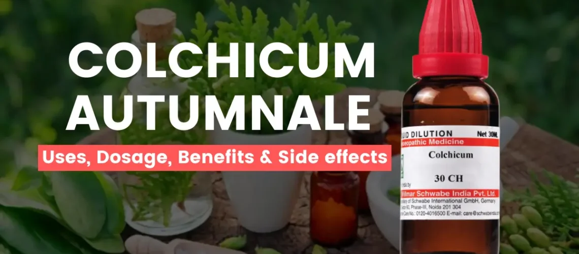 Colchicum Autumnale 30, 200 - Uses, Benefits and Side Effects