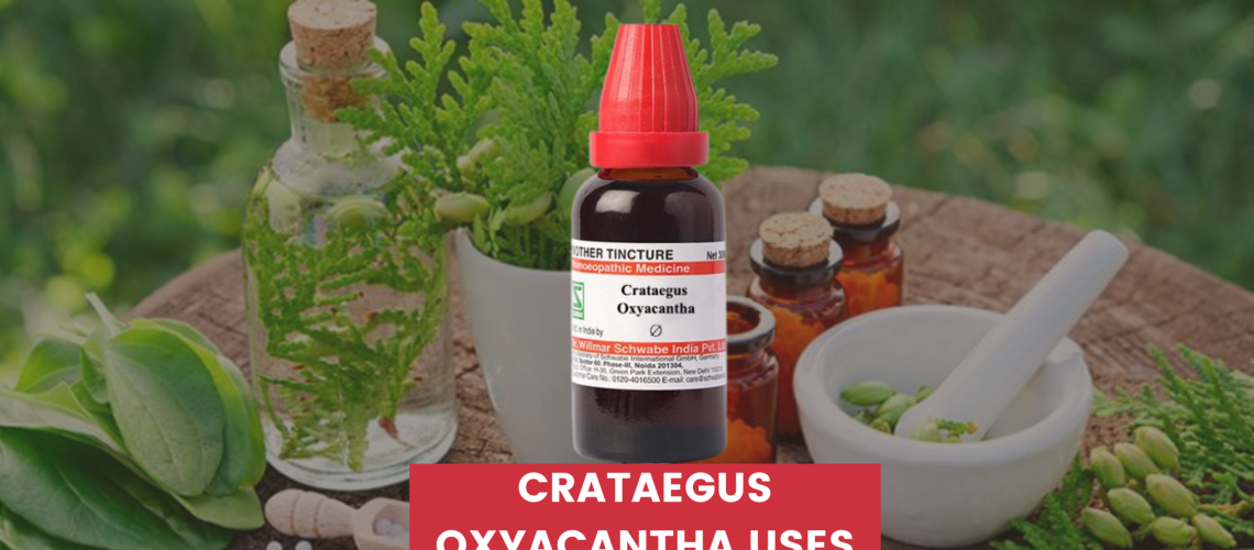 Crataegus Oxyacantha Uses In Hindi