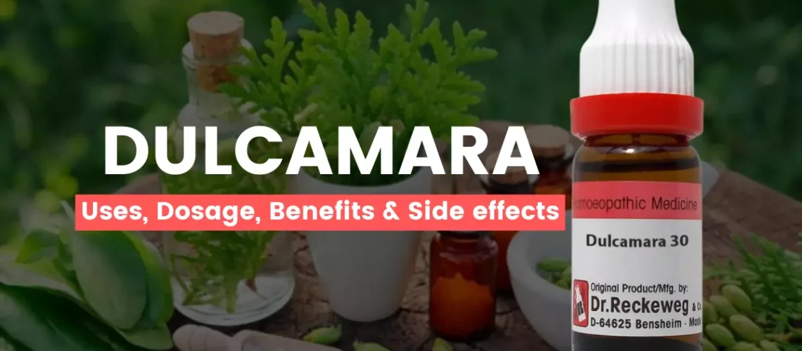 Dulcamara 30, 200, 1M Uses, Benefits, Dosage Side Effects