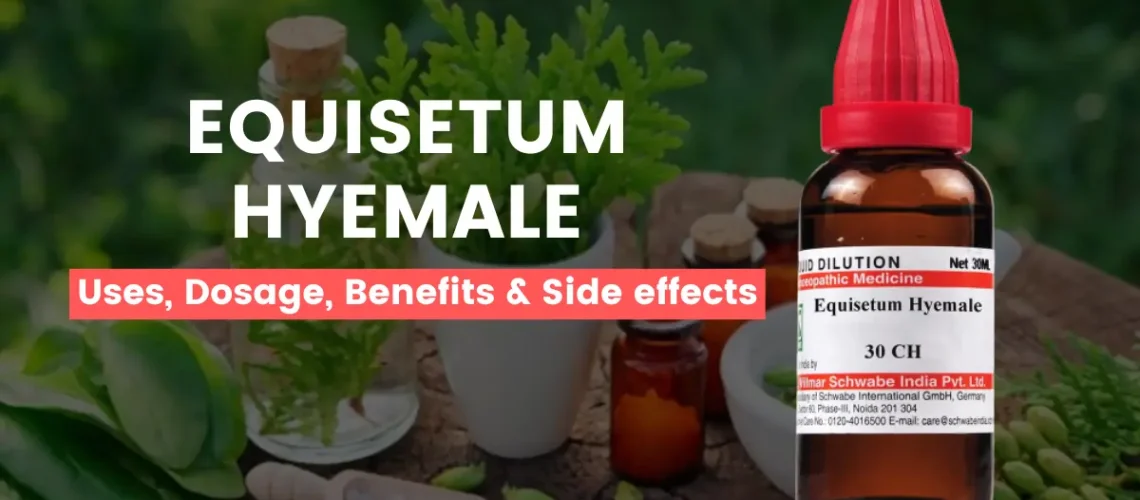 Equisetum Hyemale 30, 200, Q- Uses, Benefits and Side Effects