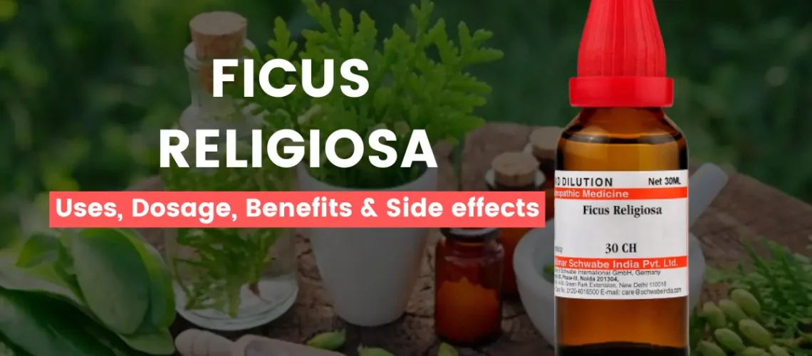 Ficus Religiosa 30, 200, Q - Uses, Benefits and Side Effects