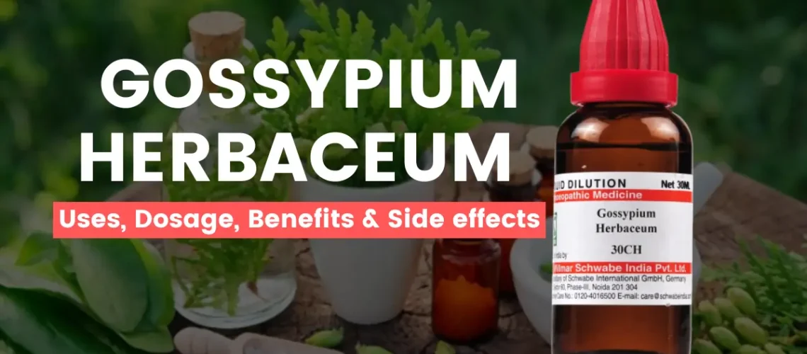 Gossypium Herbaceum 30, 200, Q - Uses, Benefits and Side Effects