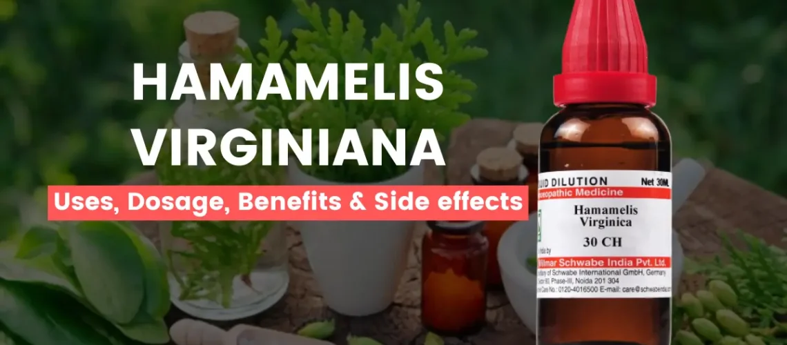 Hamamelis Virginiana 30, 200, Q - Uses and Side Effects