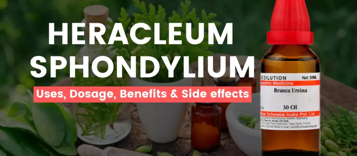 Heracleum Sphondylium (Branca Ursina) Uses, Benefits Side Effects