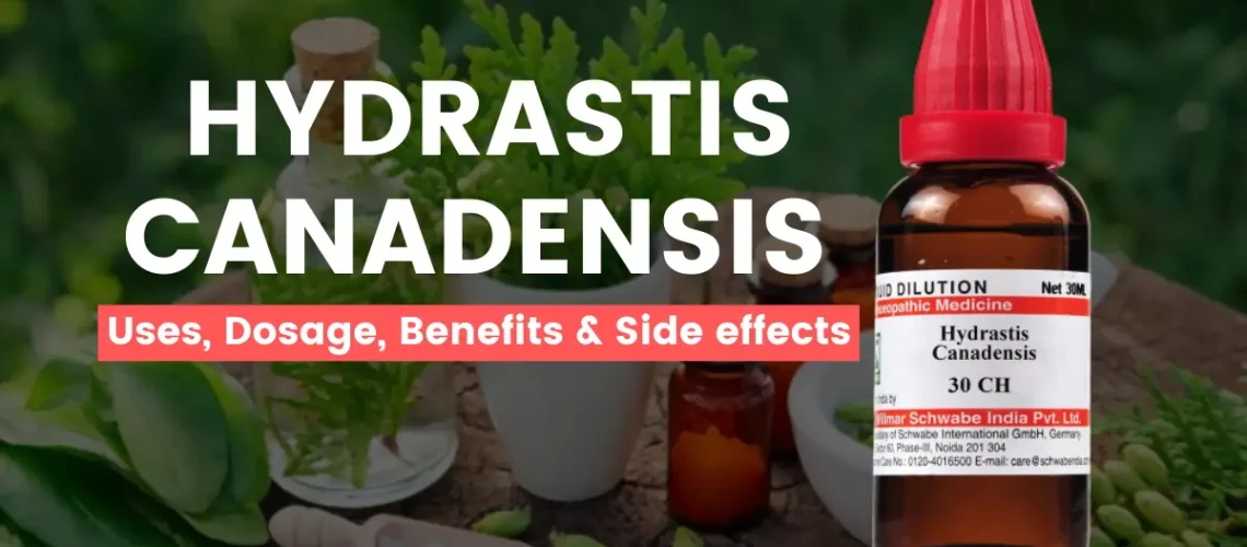 Hydrastis Canadensis 30, 200, 1M Uses, Benefits, Dosage and Side Effects