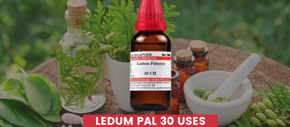 Ledum Pal 30 Uses In Hindi