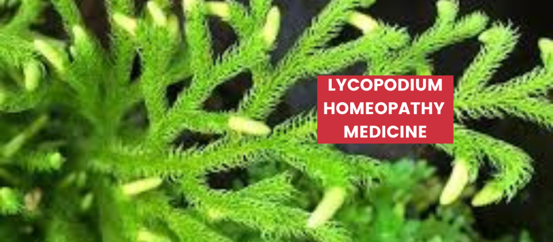 Lycopodium Clavatum Uses, Benefits, Dosage & Side Effects