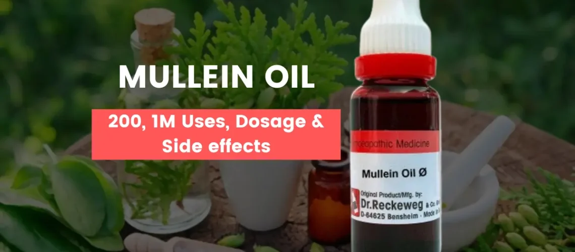 Mullein Oil Homeopathic Medicine Uses, Benefits and Side Effects