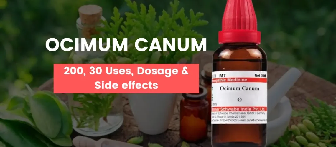 Ocimum Canum Q, Ocimum Canum 30, 200 Uses & Benefits
