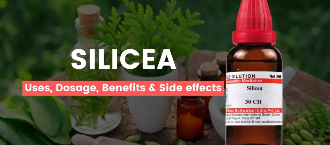 Silicea 30, 200, 1M Uses, Benefits, Dosage and Side Effects