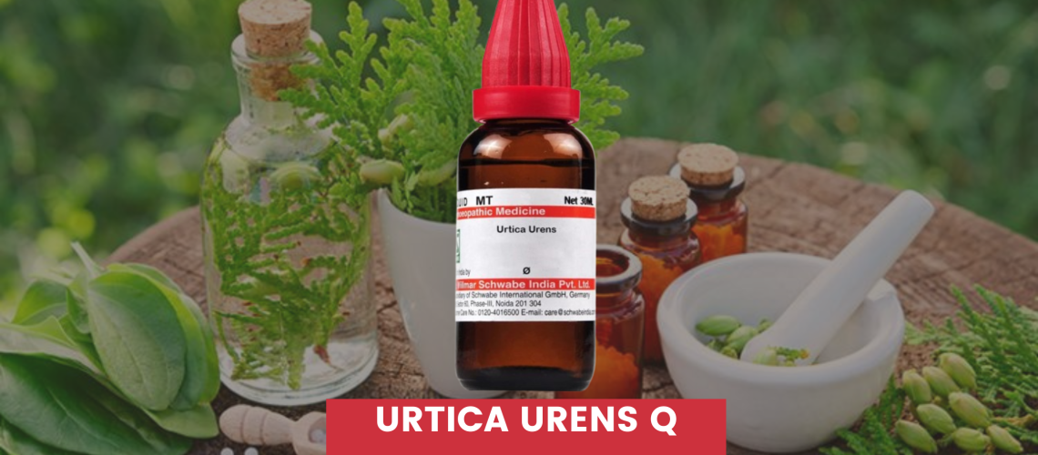 Urtica Urens Q Uses In Hindi