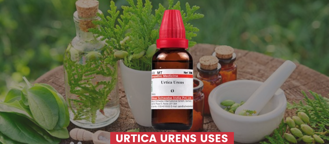 Urtica Urens Uses In Hindi