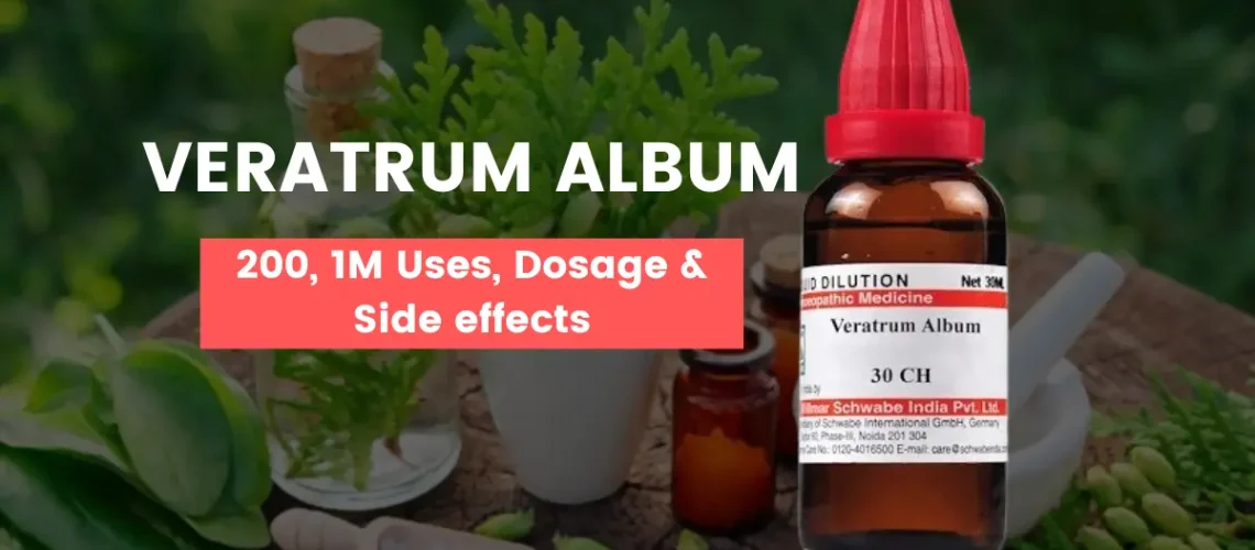 Veratrum Album 30, Veratrum Album 200 Uses and Side Effects