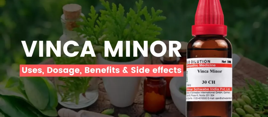 Vinca Minor 30, 200, 1M Uses, Benefits, Dosage and Side Effects