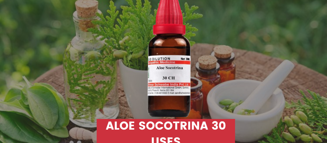 aloe socotrina 30 uses in hindi