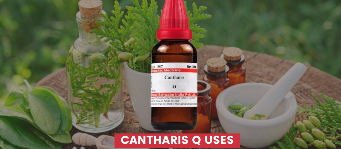 cantharis q uses in hindi