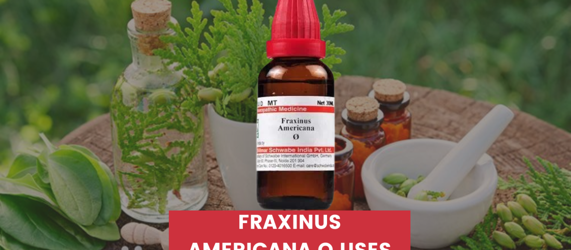 fraxinus americana q uses in hindi