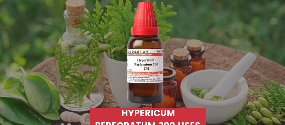 hypericum perforatum 200 uses in hindi